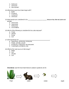 Food Chains Test - 3rd grade VA by Melissa Giageos | TpT