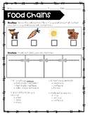 Food Chains Test