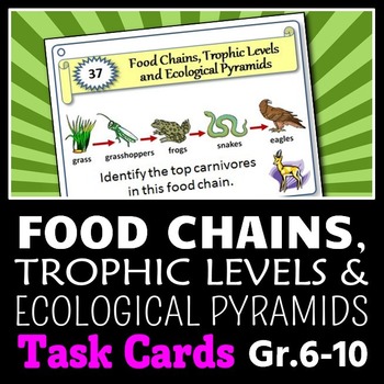 Preview of Food Chains - Task Cards {With Editable Template}
