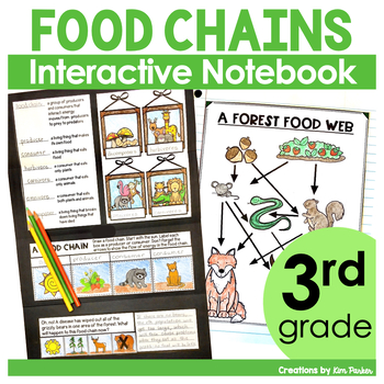 Preview of Food Chains Unit and Activities for 3rd Grade