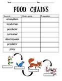 Food Chains Vocabulary