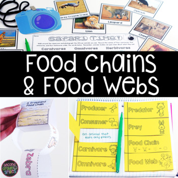 Preview of Food Chains & Food Webs