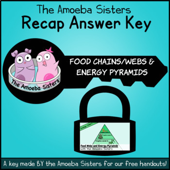 Preview of Food Chains/Webs, Energy Pyramid Recap Key by The Amoeba Sisters (Answer Key)