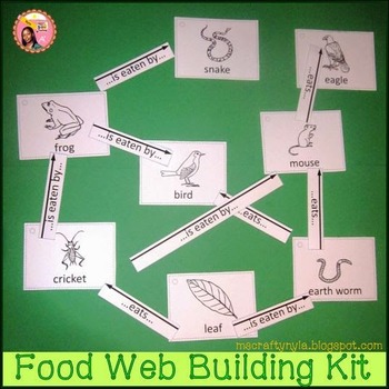 Preview of Food Chains and Food Web Building Kit