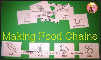 Food Chains and Food Web Building Kit by Nyla's Crafty Teaching | TPT