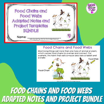 Preview of Food Chains and Food Webs Adapted Notes and Project Templates Bundle