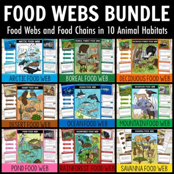 Preview of Food Chains and Food Webs Animal Habitat BUNDLE