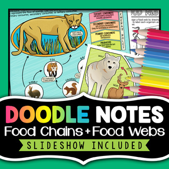 Preview of Food Chains and Food Webs Doodle Notes Activity | PowerPoint & Worksheet