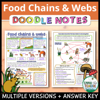 Preview of Food Chains and Food Webs Doodle Notes