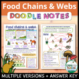Food Chains and Food Webs Doodle Notes