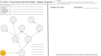 Food Chains and Food Webs Graphic Organizer by Keith Dison | TPT