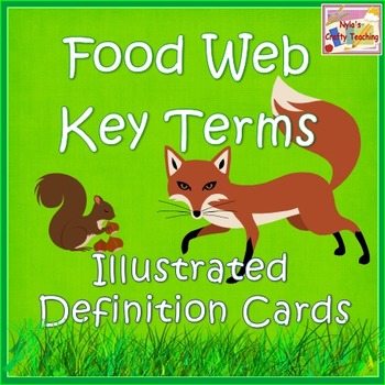 Preview of Food Chains and Food Webs illustrated definition cards