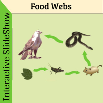 Food Chains and Food Webs Interactive Google Slide Show by JayZee