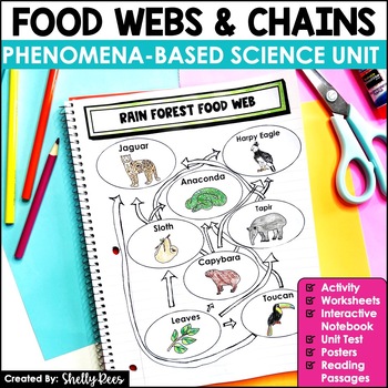 Preview of Food Chains and Food Webs | Phenomenon Based Science CER