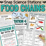 Food Chains and Food Webs Science Stations With Sorting Activity