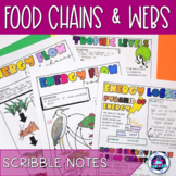 Food Chains and Food Webs Scribble Notes