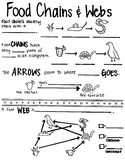 Food Chains and Food Webs SKETCH NOTES | Energy Flow | Sci