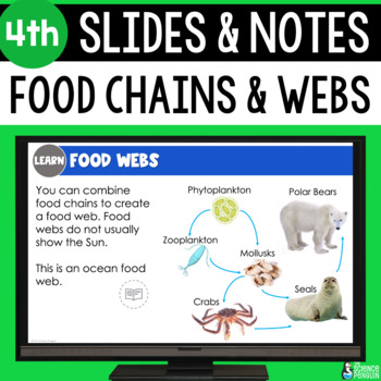 Preview of Food Chains and Food Webs Slides & Notes Worksheet | 4th Grade Powerpoint