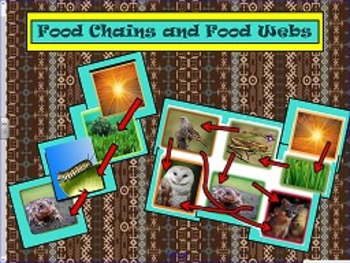 Preview of Food Chains and Food Webs Smartboard Lesson
