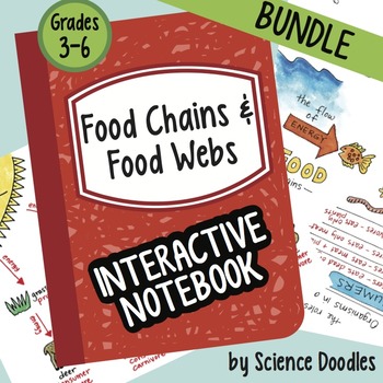 Preview of Science Doodle - Food Chains and Food Webs Interactive Notebook BUNDLE Notes
