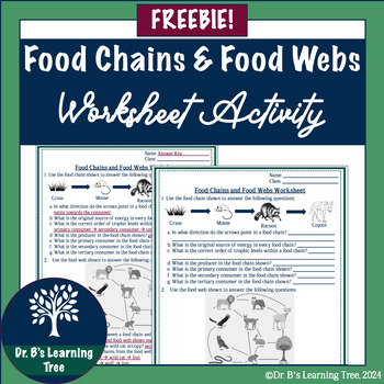 Food Chains and Food Webs Worksheet by Dr Bs Learning Tree | TPT