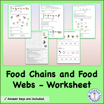 Food Chains And Webs Worksheets