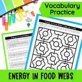 Food Chains and Food Webs Worksheets - Vocabulary Color by