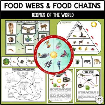 Preview of Food Chains and Food Webs of Biomes Montessori Posters Puzzles