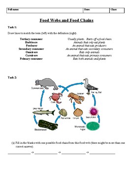 Preview of Food Chains and Food Webs worksheet, updated