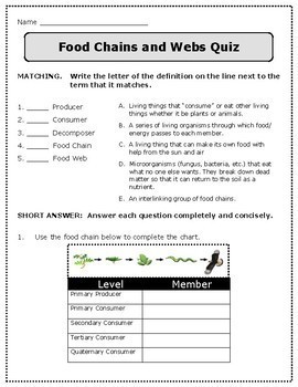 Food Chains and Webs: Producers, Consumers, Decomposers - NGS 5-LS2
