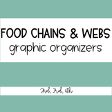 Food Chains and Webs Worksheet 