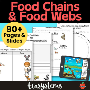 Preview of FOOD CHAINS & FOOD WEBS, Food Groups, Predator & Prey: Print & Google Classroom