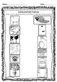 Food & Fibre Matching Activity (Diagnostic Assessment)