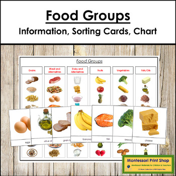 SPEECH THERAPY food group categories sort fruit vegetables meat protein  dairy +