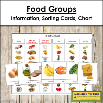 Preview of Food Groups - Information, Sorting Cards & Control Chart