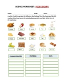 Food Groups Worksheet
