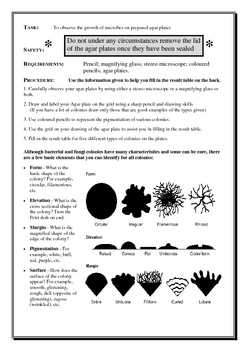 Food Poisoning Assignment/Activities by Michael Profitt | TpT