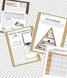 Food Pyramid & Food Profile (Reading and Assignment)