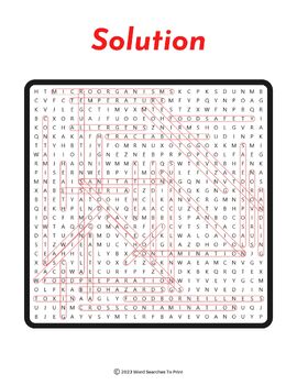 Food Safety Word Search Puzzle For Kids - 7 Words