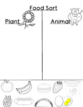 Food Sort: Plant or Animal by JD's Darlings | TPT