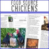 Food Source: All About Chicken - From Farm to Table