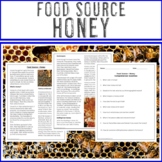 Food Source: How does HONEY get to our table? | Honeybee S