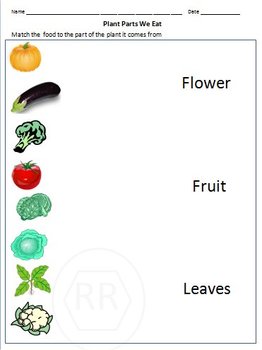 food sources grouping food the food pyramids worksheet for grade 1