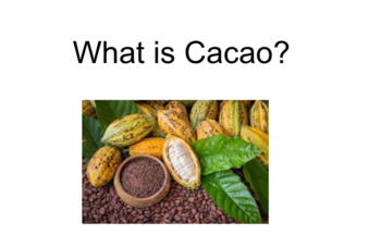 Preview of Food Studies - Chocolate Cacao Cocoa Marketing