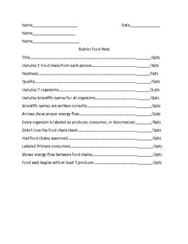 Preview of Food Web Activity Rubric