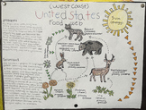 Food Web Around the World Project