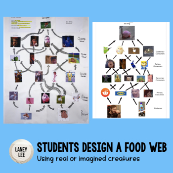 food web assignment grade 7