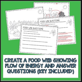 food web assignment grade 9