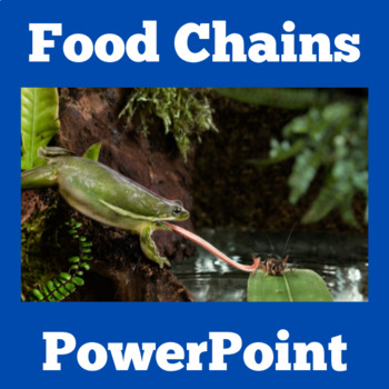 Preview of FOOD WEB CHAINS | PowerPoint Activity 1st 2nd 3rd Grade Science Lesson PPT