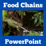 FOOD WEB CHAINS | PowerPoint Activity 1st 2nd 3rd Grade Sc